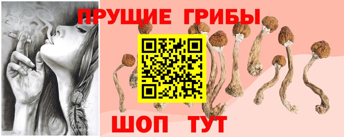 Псилоцибиновые грибы GOLDEN TEACHER Мирный